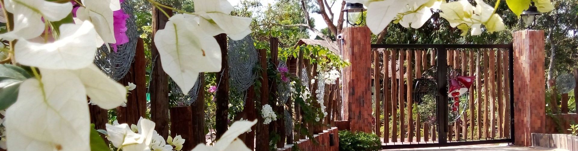 Hàng hoa giấy gọi mời ở An TheVillage